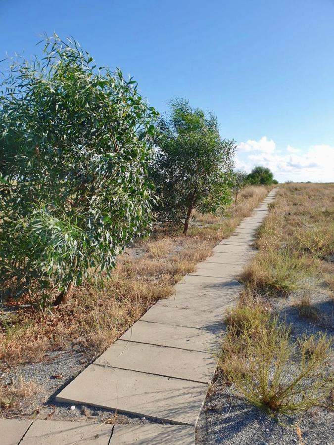 Vista Mare Su Tre Piani Con Giardino Villa Falerna Bagian luar foto